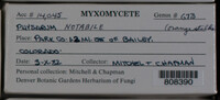 Image Associated With the Occurence